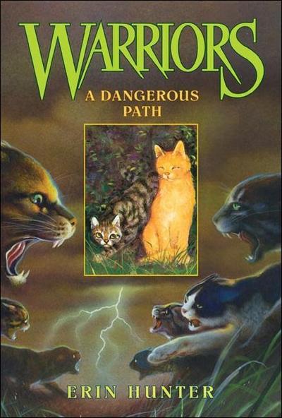 WARRIORS #05 DANGEROUS PATH