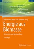 Energie aus Biomasse