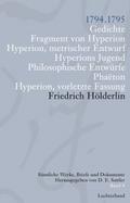 Sämtliche Werke, Briefe und Dokumente. Band 4