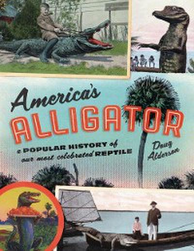 America’s Alligator
