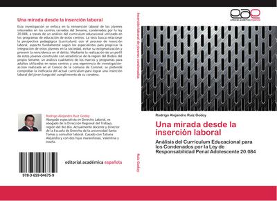 Una mirada desde la inserción laboral