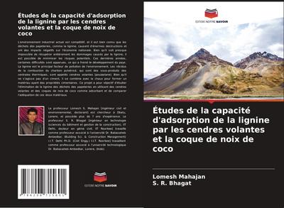 Études de la capacité d’adsorption de la lignine par les cendres volantes et la coque de noix de coco