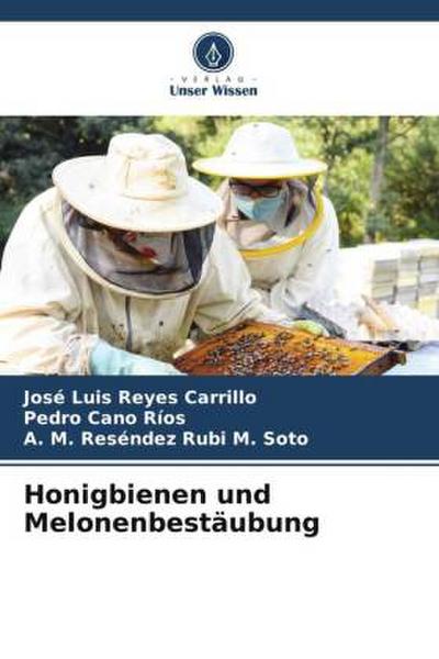 Honigbienen und Melonenbestäubung