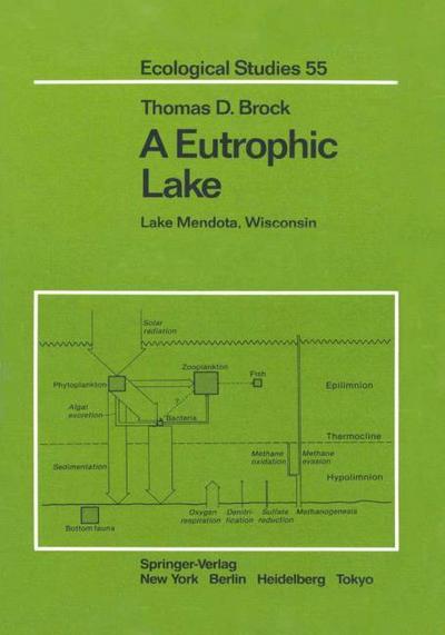 A Eutrophic Lake