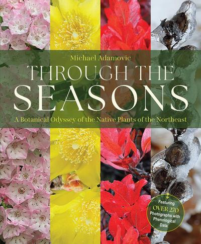 Through the Seasons
