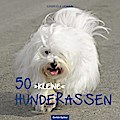 50 "kleine" Hunderassen