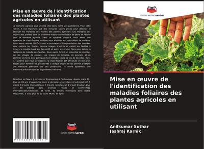 Mise en ¿uvre de l’identification des maladies foliaires des plantes agricoles en utilisant