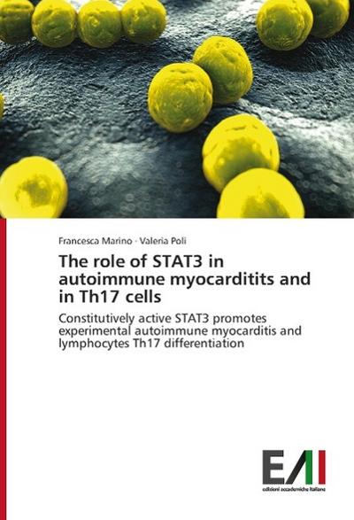 The role of STAT3 in autoimmune myocarditits and in Th17 cells