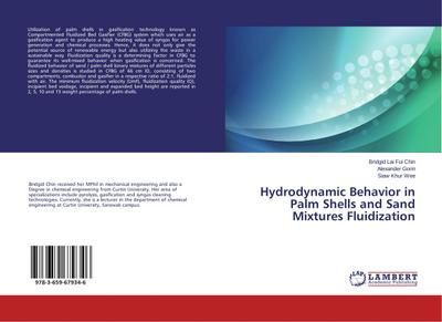 Hydrodynamic Behavior in Palm Shells and Sand Mixtures Fluidization