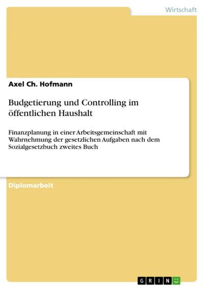 Budgetierung und Controlling im öffentlichen Haushalt