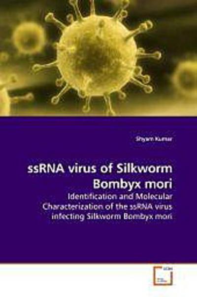 ssRNA virus of Silkworm Bombyx mori