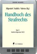 Handbuch des Strafrechts