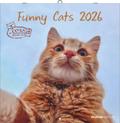 Funny Cats 2026