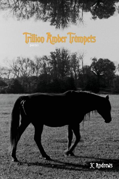 Trillion Amber Trumpets