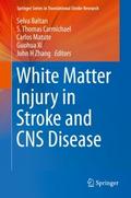 White Matter Injury in Stroke and CNS Disease