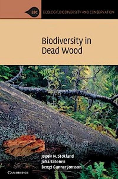 Biodiversity in Dead Wood