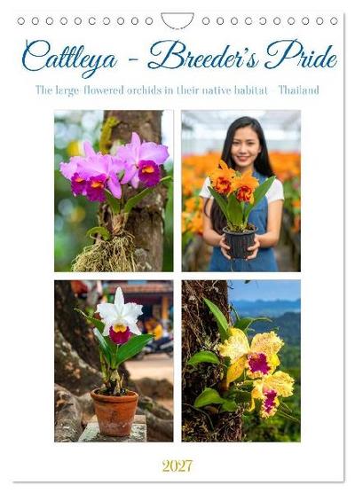 Cattleya - Breeder’s Pride (Wall Calendar 2027 DIN A4 portrait), CALVENDO 12 Month Wall Calendar