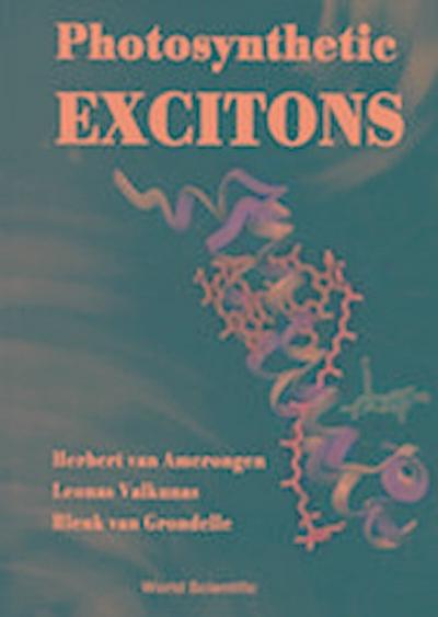 Photosynthetic Excitons