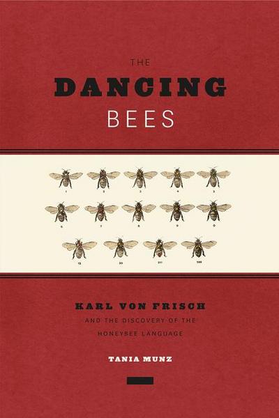 The Dancing Bees