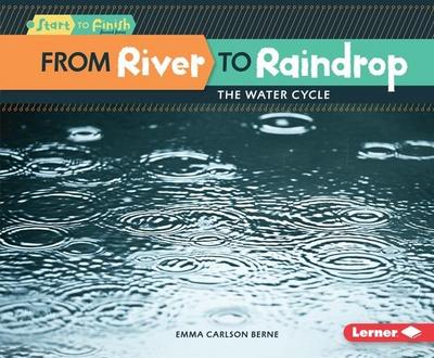 From River to Raindrop