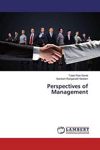 Perspectives of Management