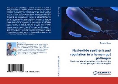 Nucleotide synthesis and regulation in a human gut pathogen