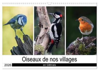 Oiseaux de nos villages en Gâtinais (Calendrier mural 2026 DIN A3 vertical), CALVENDO calendrier mensuel