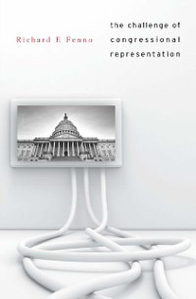 Challenge of Congressional Representation
