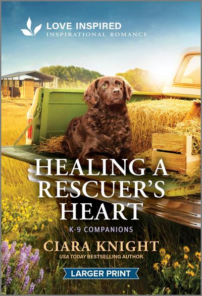 Healing a Rescuer’s Heart