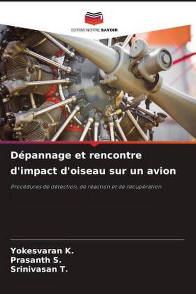Dépannage et rencontre d’impact d’oiseau sur un avion