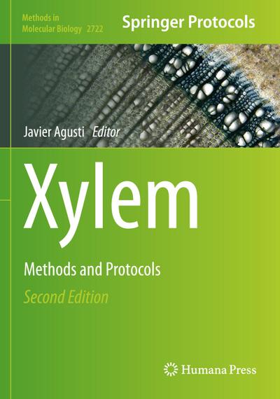 Xylem