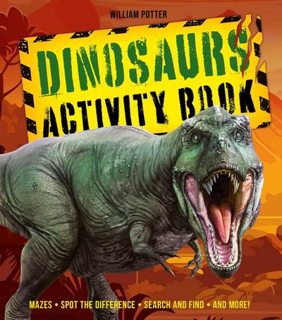 Dinosaurs Activity Book