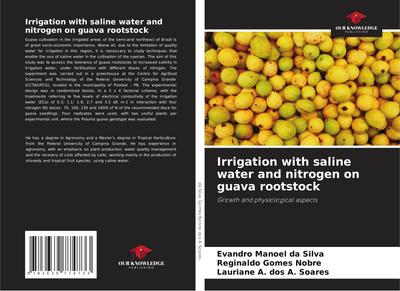 Irrigation with saline water and nitrogen on guava rootstock