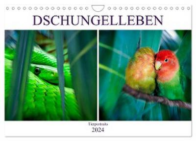 Dschungelleben - Tierportraits (Wandkalender 2024 DIN A4 quer), CALVENDO Monatskalender
