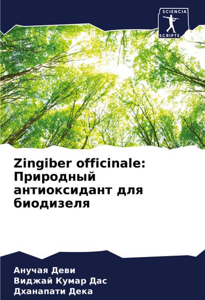Zingiber officinale: Prirodnyj antioxidant dlq biodizelq