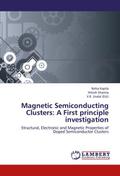Magnetic Semiconducting Clusters: A First principle investigation