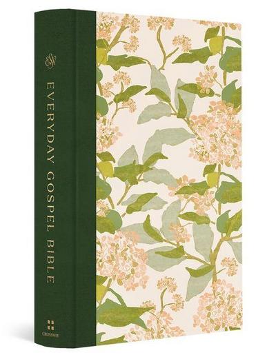 ESV Everyday Gospel Bible, Artist Series