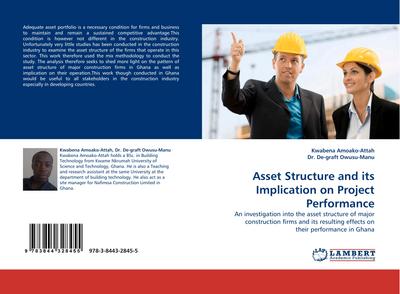 Asset Structure and its Implication on Project Performance