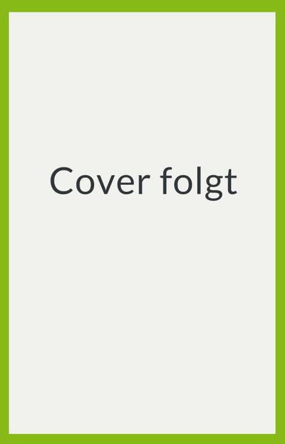 Richtig dämmen - Passende Dämmung ermitteln - Dämmstoffe im Überblick - mit Anweisungen zum Selbermachen