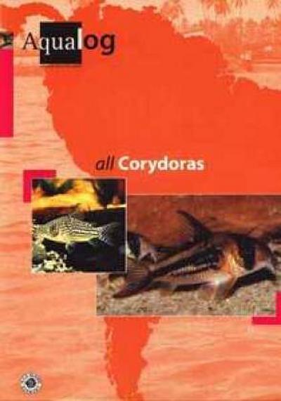 All Corydoras
