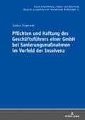 Pflichten und Haftung des Geschäftsführers einer G