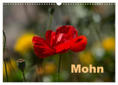 Mohn (Wandkalender 2024 DIN A3 quer), CALVENDO Monatskalender