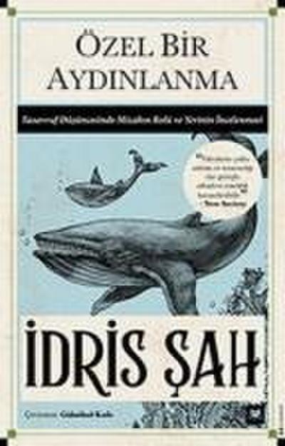 Özel Bir Aydinlanma