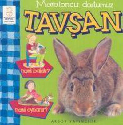 Maratoncu Dostumuz Tavsan Nasil Bakilir Nasil Oynanir