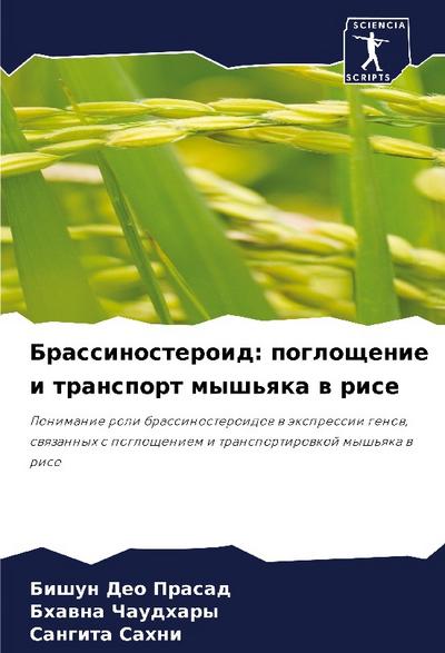 Brassinosteroid: pogloschenie i transport mysh’qka w rise