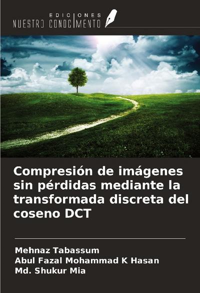 Compresión de imágenes sin pérdidas mediante la transformada discreta del coseno DCT