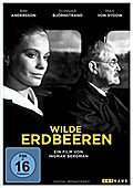 Wilde Erdbeeren