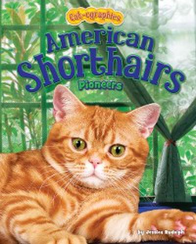 American Shorthairs