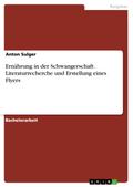 Ernährung in der Schwangerschaft. Literaturrecherche und Erstellung eines Flyers von Anton Sulger | Ebook