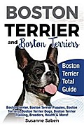 Boston Terrier and Boston Terriers